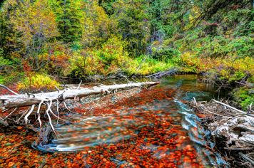 Cherry Creek